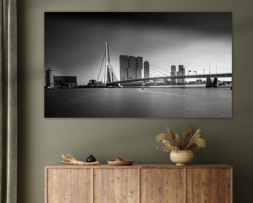 Erasmusbrug Rotterdam by Robbert Ladan