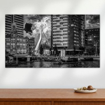 Vue du pont Erasmus sur Robbert Ladan