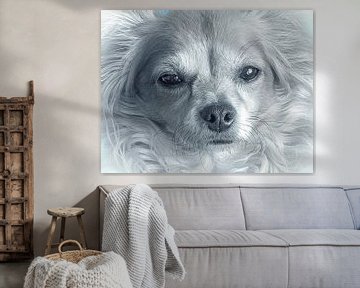 Hond Portret  van Kimberly Galjaard