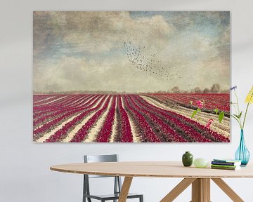 Blooming - Field with red Tulips van Dirk Wüstenhagen