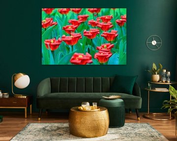 Gekrulde rode tulpen by Dennis van de Water
