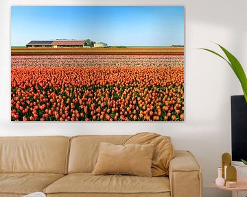 Tulpenvelden in de lente by Dennis van de Water