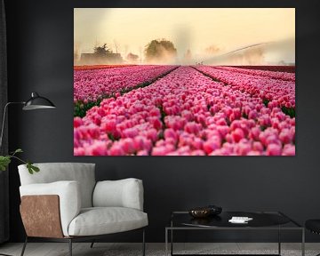 Pink Tulips by Dennis van de Water