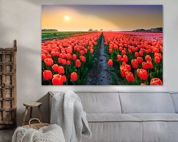 Tulpenveld zonsondergang by Dennis van de Water