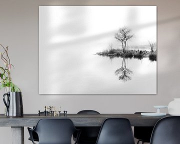 Arbres jumeaux, encore (noir et blanc) sur Lex Schulte