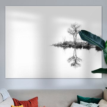 Arbres jumeaux, encore (noir et blanc) sur Lex Schulte