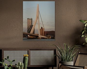 Erasmusbrug Rotterdam van Perry Dolmans