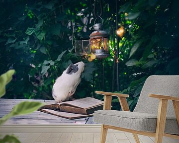 Guinea pig book lantern by Marloes van Antwerpen