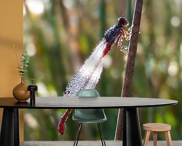 Aperçu de la chambre