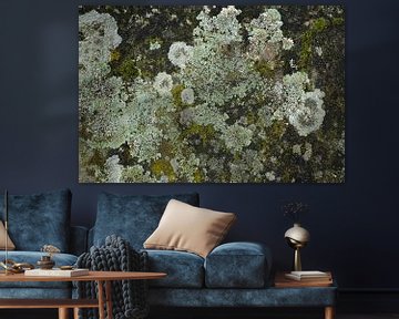 Moss landscape by Karin in't Hout