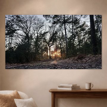 Zonsondergang in het bos.