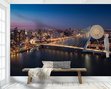 Rotterdam skyline - Erasmus bridge by Vincent Fennis