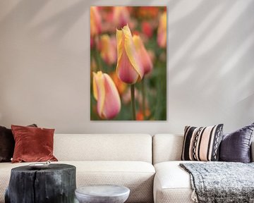 Tulpen (Keukenhof) van Marianne Twijnstra