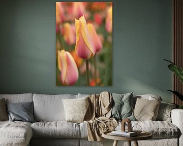 Tulpen (Keukenhof) van Marianne Twijnstra-Gerrits