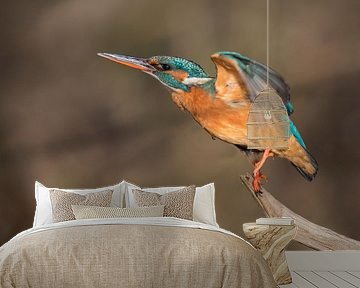 Kingfisher takes off by Ben Bokeh