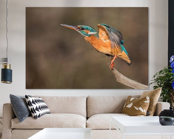 Aperçu de la chambre