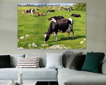 Koeien in de wei in Nederland van Dennis van de Water
