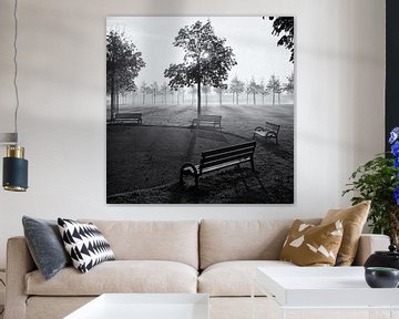 Benches in park Assumburg, Heemskerk