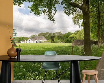 Voorjaar op Rhijnauwen