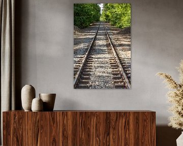 Rails in het bos sur Dennis van de Water