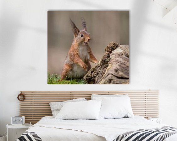 Aperçu de la chambre