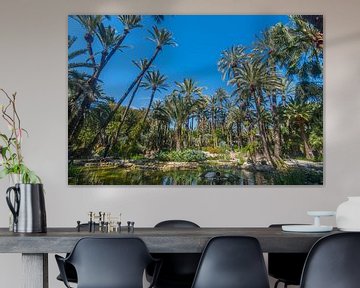 Botanische tuin Huerto del Cura  van Peter Apers
