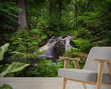 Wasserfall im Harz von Steffen Gierok