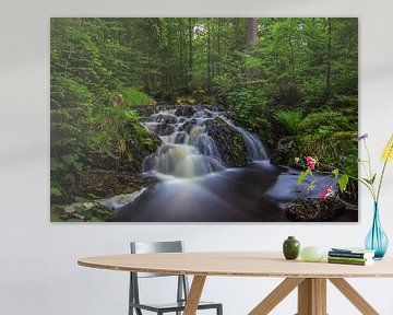 Waterfall at Harz Mountain sur Steffen Gierok