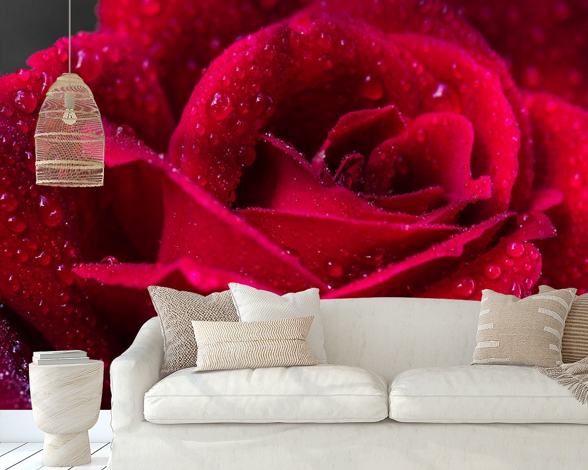 Raumvorschau