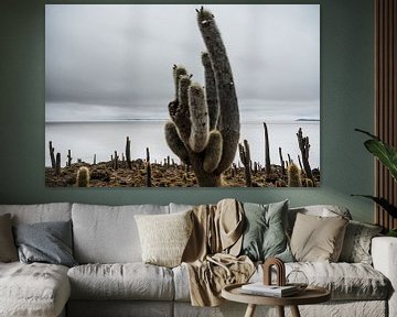 Cactus in Salar de Uyuni by Arno Maetens