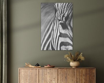 Zebra zwart-wit van Jeantina Lensen-Jansen