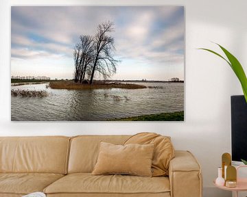 Hoogwater in de Noordwaardpolder van Ruud Morijn