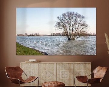 Ondergelopen polder Loevesteyn von Ruud Morijn