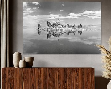 Mono Lake tufa in spiegeling van Gerben Tiemens