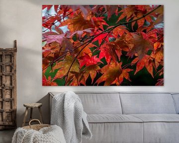 Beautiful red tree leaves by Aukelien Philips