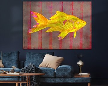 Gold Fish on Striped Background