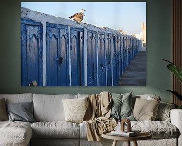 Oiseaux et portes bleues - Essaouira- Marocco sur Homemade Photos