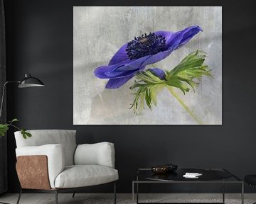 Anemone with background by Greetje van Son