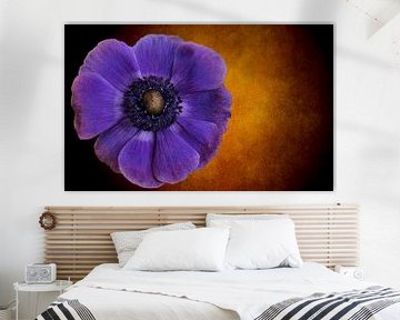 Anemone by Greetje van Son