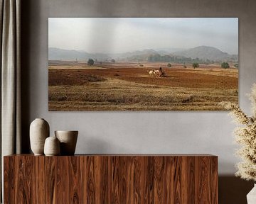 Back to basic, Myanmar von Antal van Lierop