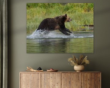 Grizzly rent door water van Muriel Polet
