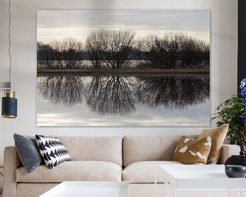 Bomensilhouet gespiegeld in het water by Robert Wagter
