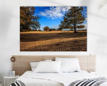 Dunes à l'automne sur Rolf Linnemeijer