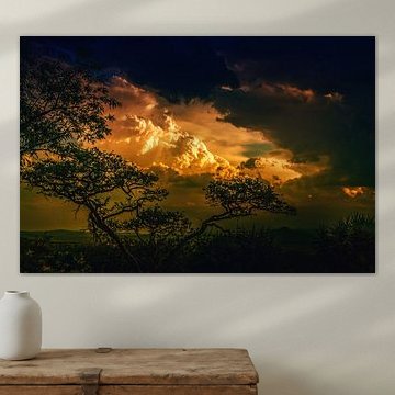 Sunset through the trees