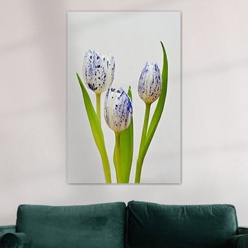 Delfter Blaue Tulpe von Sebastiaan van Venetiën