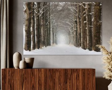 Bomen in de winter sneeuw van Rob Visser