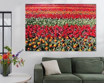 Bloemenveld met rijen rode tulpen van Ben Schonewille