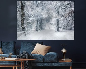 winter wonderland Veluwe van Elroy Spelbos