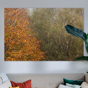 Herfstbomen naast elkaar