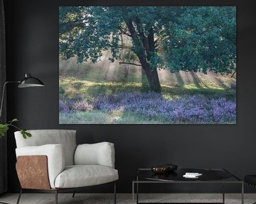 Heide landschap op de Veluwe van Elroy Spelbos Fotografie